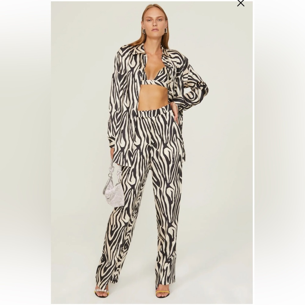 Ronny Kobo 3 Piece Matching Zebra Set w/ pants, bra, and button down